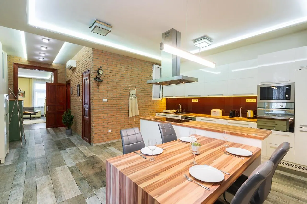 Vibrant And Spacious Downtown Budapest Flat アパート
